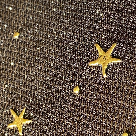 FRANCESCA’S - NWT - dress: black lined semi-sheer metallic mesh l/s w stars - XL - Picture 14 of 16